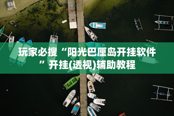 玩家必搜“阳光巴厘岛开挂软件”开挂(透视)辅助教程