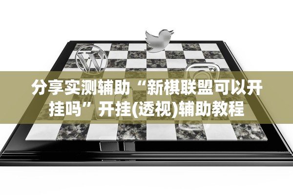 分享实测辅助“新棋联盟可以开挂吗”开挂(透视)辅助教程