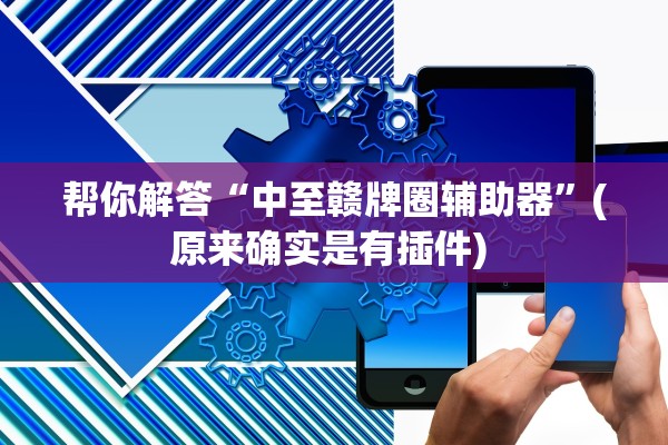 帮你解答“中至赣牌圈辅助器”(原来确实是有插件) 