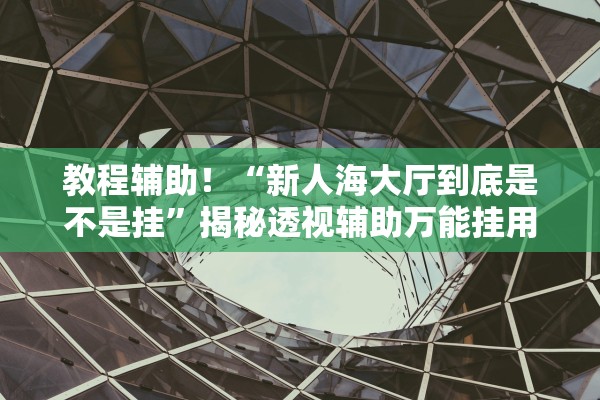 教程辅助！“新人海大厅到底是不是挂”揭秘透视辅助万能挂用法