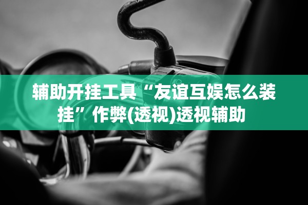 辅助开挂工具“友谊互娱怎么装挂”作弊(透视)透视辅助 