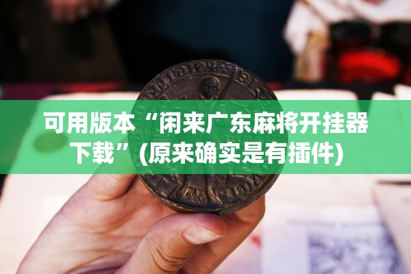 可用版本“闲来广东麻将开挂器下载”(原来确实是有插件)