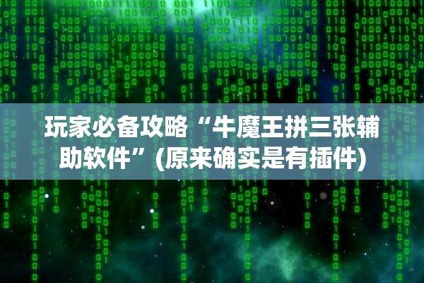 玩家必备攻略“牛魔王拼三张辅助软件”(原来确实是有插件)