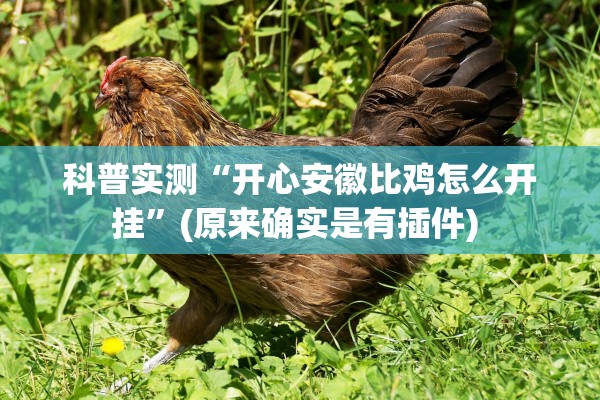 科普实测“开心安徽比鸡怎么开挂”(原来确实是有插件) 