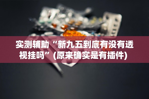 实测辅助“新九五到底有没有透视挂吗”(原来确实是有插件) 