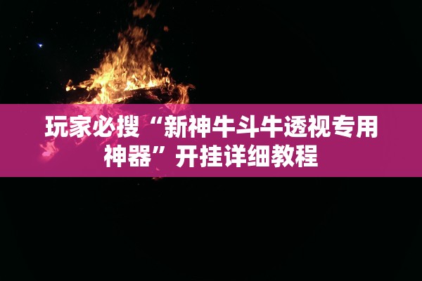 玩家必搜“新神牛斗牛透视专用神器”开挂详细教程