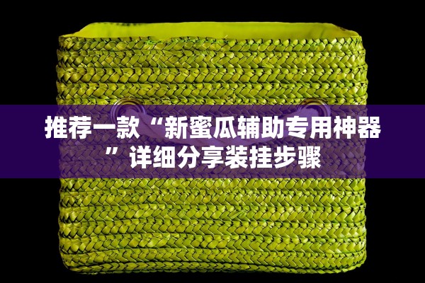 推荐一款“新蜜瓜辅助专用神器”详细分享装挂步骤