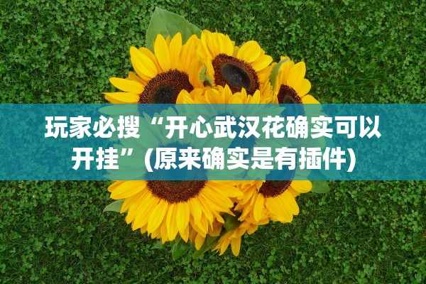 玩家必搜“开心武汉花确实可以开挂”(原来确实是有插件)
