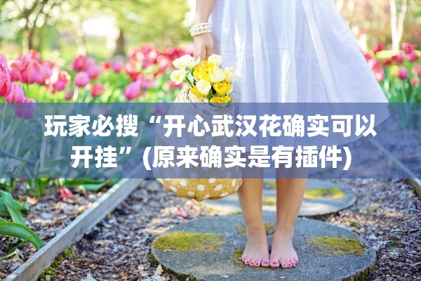 玩家必搜“开心武汉花确实可以开挂”(原来确实是有插件)