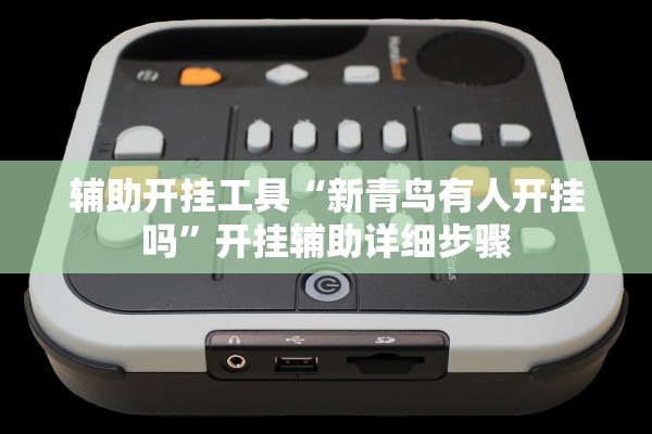 辅助开挂工具“新青鸟有人开挂吗	”开挂辅助详细步骤