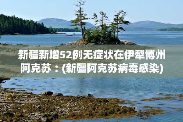 新疆新增52例无症状在伊犁博州阿克苏︰(新疆阿克苏病毒感染)