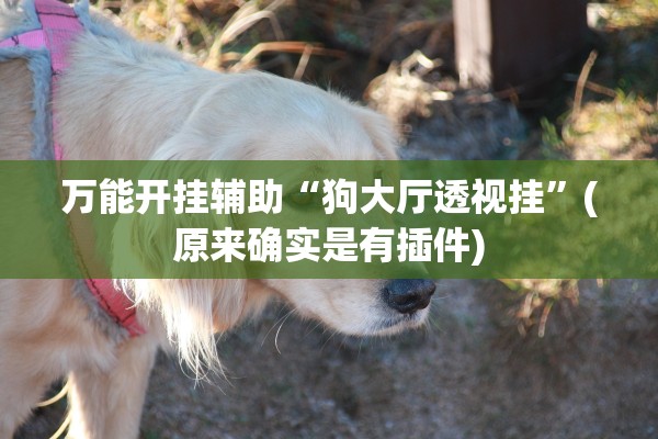 万能开挂辅助“狗大厅透视挂”(原来确实是有插件)