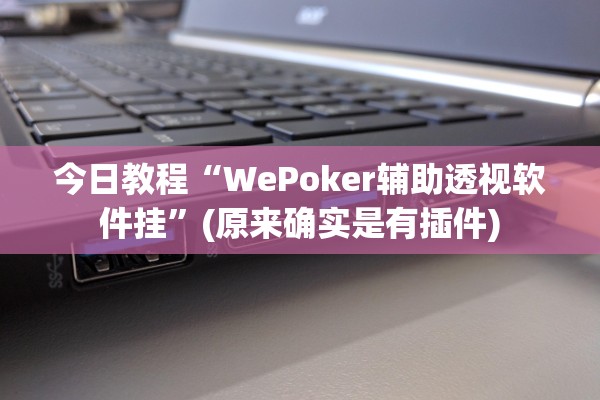 今日教程“WePoker辅助透视软件挂”(原来确实是有插件)