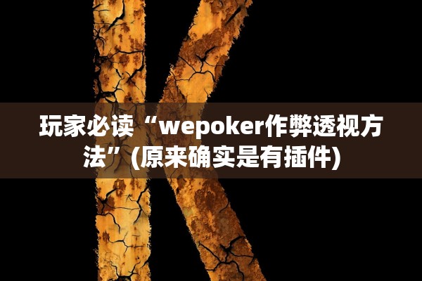 玩家必读“wepoker作弊透视方法”(原来确实是有插件)