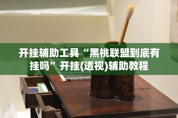 开挂辅助工具“黑桃联盟到底有挂吗”开挂(透视)辅助教程