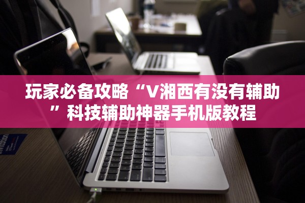 玩家必备攻略“V湘西有没有辅助”科技辅助神器手机版教程