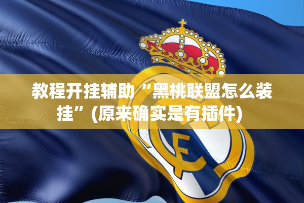 教程开挂辅助“黑桃联盟怎么装挂	”(原来确实是有插件) 