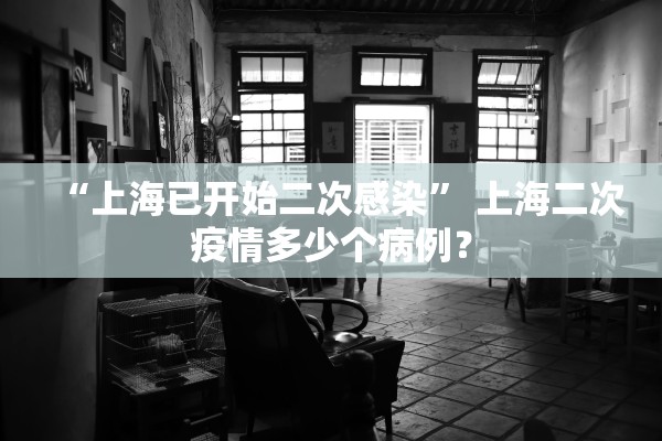 “上海已开始二次感染” 上海二次疫情多少个病例？
