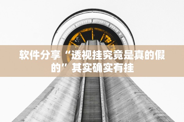 软件分享“透视挂究竟是真的假的”其实确实有挂