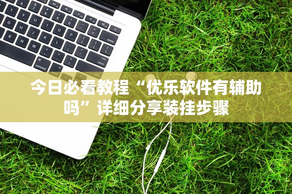 今日必看教程“优乐软件有辅助吗	”详细分享装挂步骤