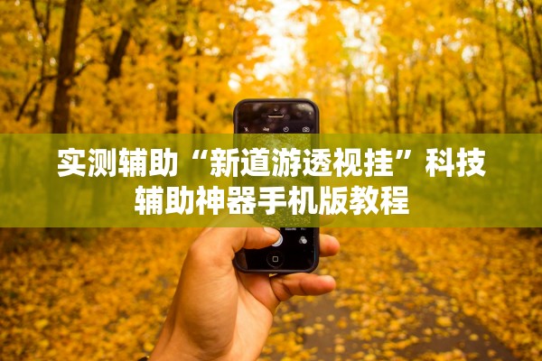 实测辅助“新道游透视挂”科技辅助神器手机版教程