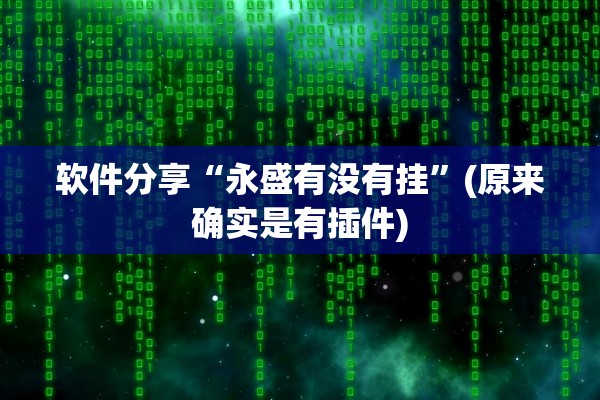 软件分享“永盛有没有挂”(原来确实是有插件)
