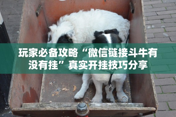 玩家必备攻略“微信链接斗牛有没有挂”真实开挂技巧分享