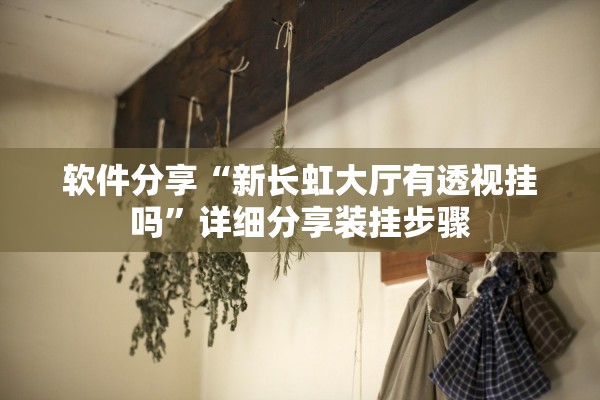 软件分享“新长虹大厅有透视挂吗”详细分享装挂步骤