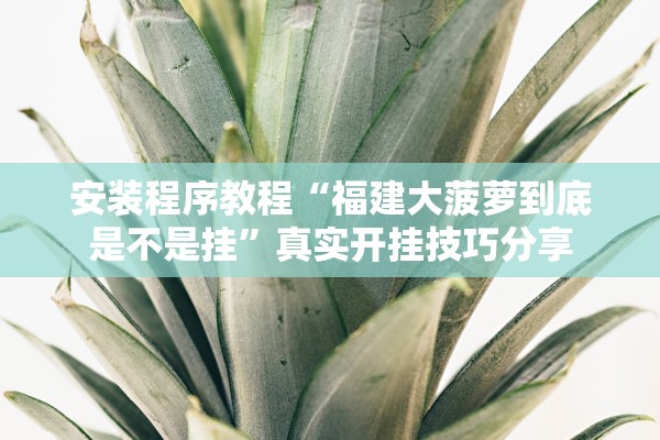 安装程序教程“福建大菠萝到底是不是挂”真实开挂技巧分享