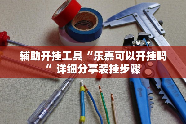 辅助开挂工具“乐嘉可以开挂吗”详细分享装挂步骤