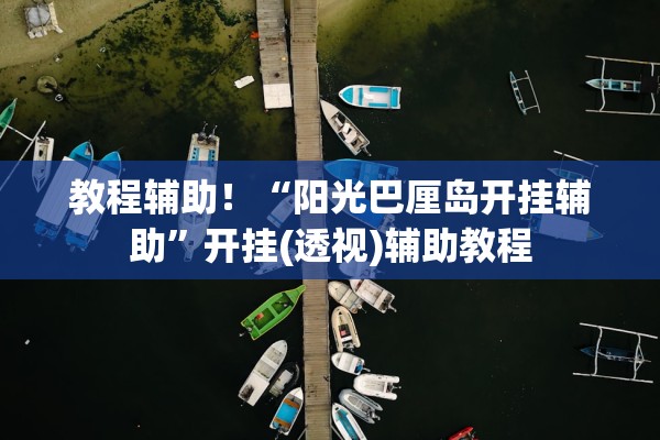 教程辅助！“阳光巴厘岛开挂辅助”开挂(透视)辅助教程