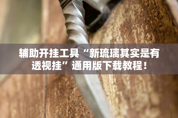 辅助开挂工具“新琉璃其实是有透视挂	”通用版下载教程！