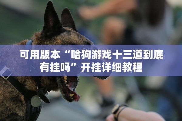 可用版本“哈狗游戏十三道到底有挂吗”开挂详细教程