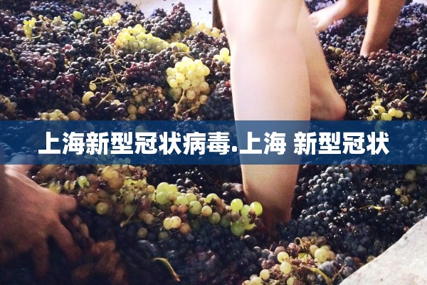 上海新型冠状病毒.上海 新型冠状