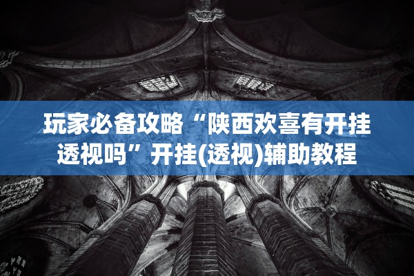 玩家必备攻略“陕西欢喜有开挂透视吗”开挂(透视)辅助教程
