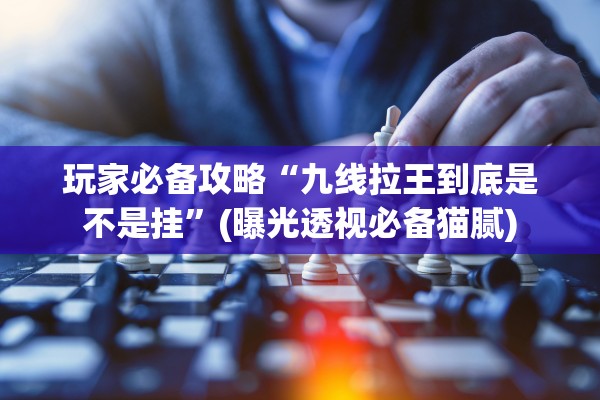 玩家必备攻略“九线拉王到底是不是挂	”(曝光透视必备猫腻)