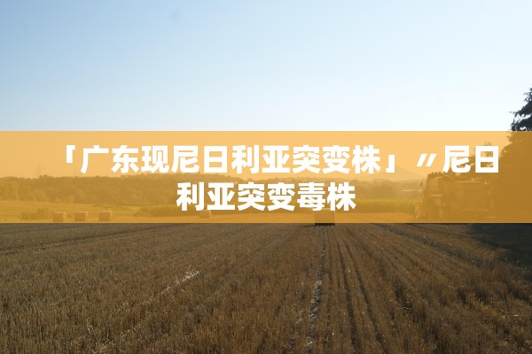 「广东现尼日利亚突变株」〃尼日利亚突变毒株
