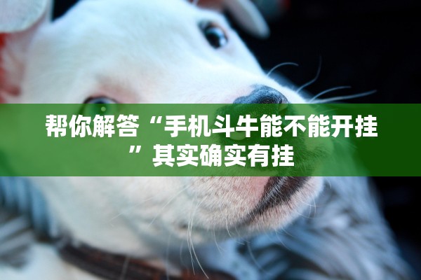 帮你解答“手机斗牛能不能开挂”其实确实有挂