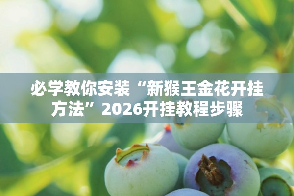 必学教你安装“新猴王金花开挂方法”2026开挂教程步骤