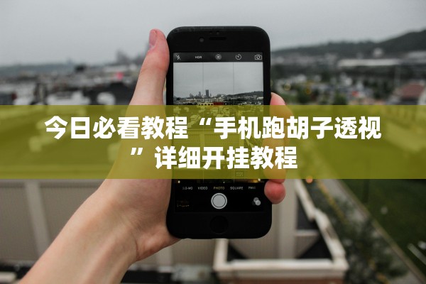 今日必看教程“手机跑胡子透视”详细开挂教程