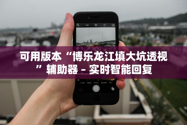可用版本“博乐龙江填大坑透视”辅助器 – 实时智能回复