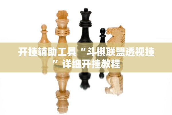 开挂辅助工具“斗棋联盟透视挂	”详细开挂教程