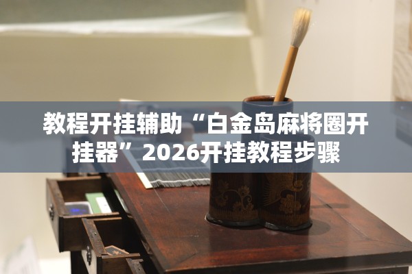 教程开挂辅助“白金岛麻将圈开挂器”2026开挂教程步骤