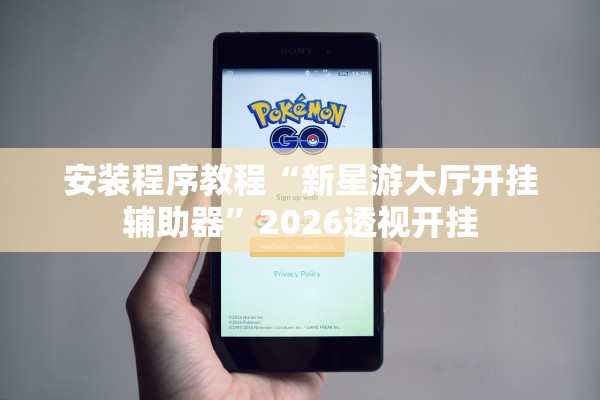 安装程序教程“新星游大厅开挂辅助器”2026透视开挂