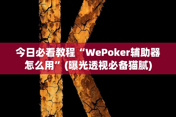 今日必看教程“WePoker辅助器怎么用	”(曝光透视必备猫腻)