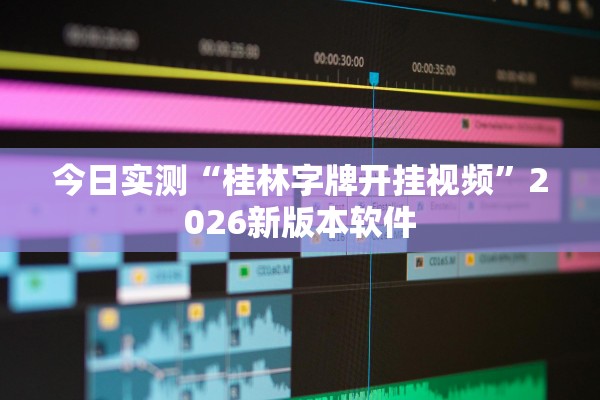 今日实测“桂林字牌开挂视频”2026新版本软件