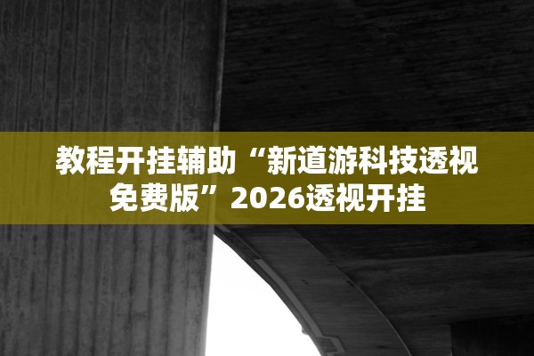 教程开挂辅助“新道游科技透视免费版”2026透视开挂