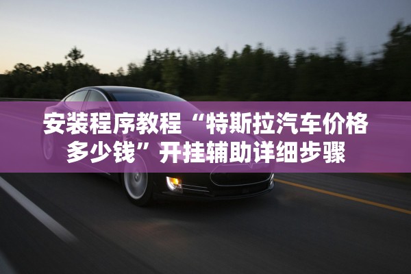 安装程序教程“特斯拉汽车价格多少钱”开挂辅助详细步骤
