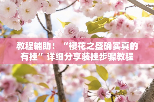教程辅助！“樱花之盛确实真的有挂”详细分享装挂步骤教程