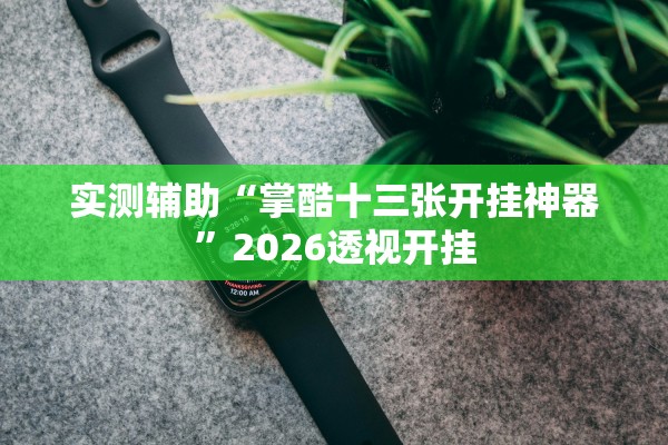 实测辅助“掌酷十三张开挂神器	”2026透视开挂